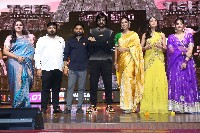 Tiger Nageswara Rao Pre Release Event Set2